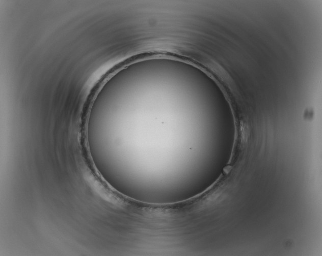 X0000113261020200909171644