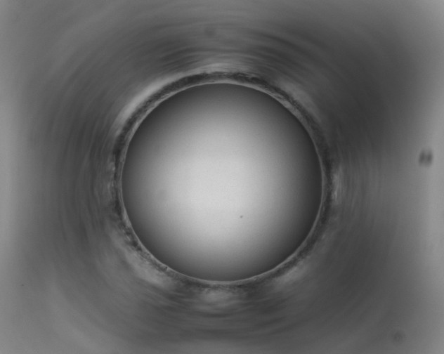 X0000113261021200909171644