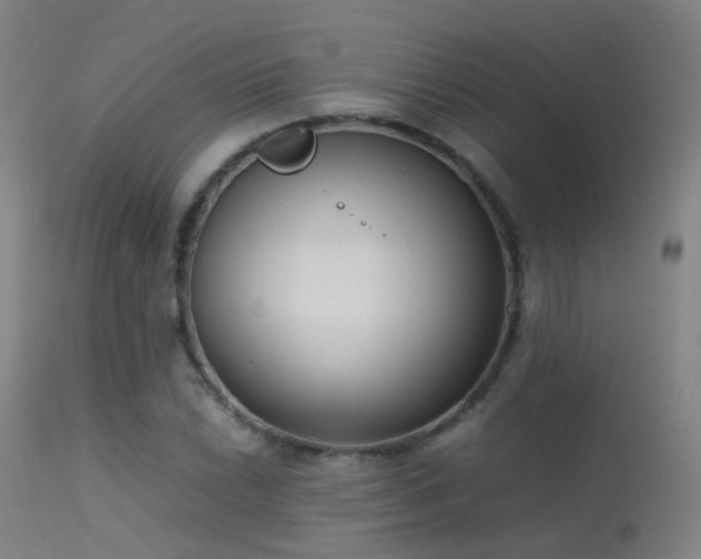 X0000113261022200909171644