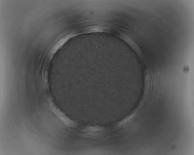 X0000113261023200909171644