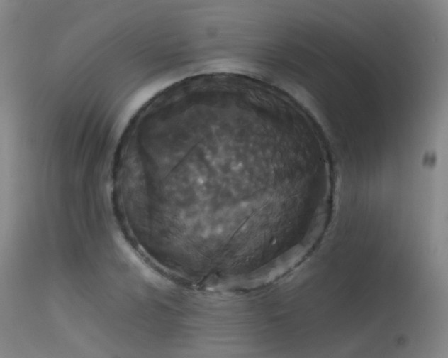 X0000113261024200909171645