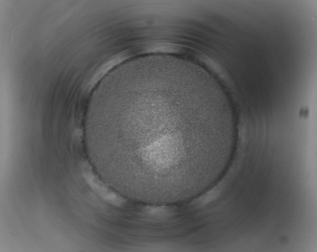 X0000113261025200909171645