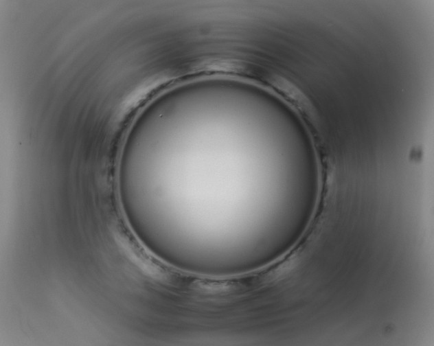 X0000113261027200909171645