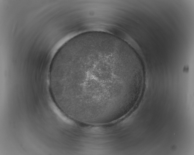 X0000113261028200909171645