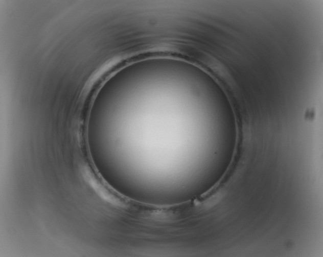 X0000113261029200909171645