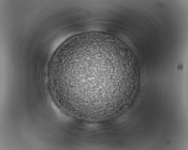 X0000113261031200909171645