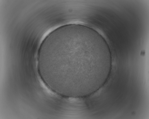 X0000113261032200909171645