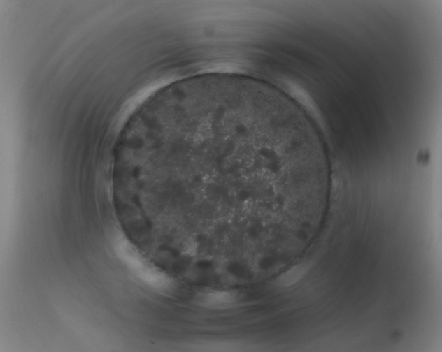 X0000113261035200909171645