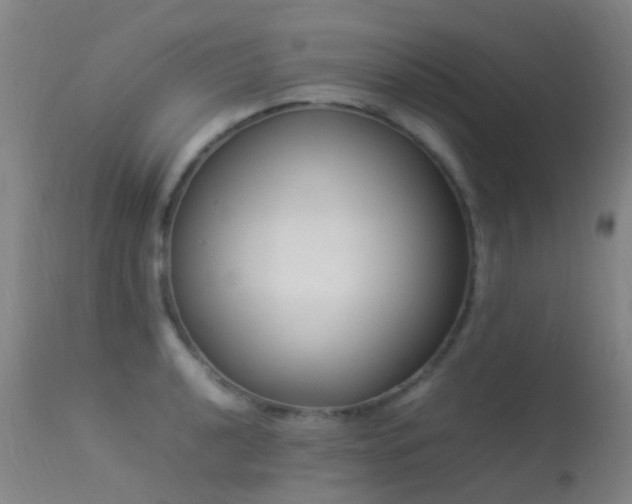 X0000113261040200909171645