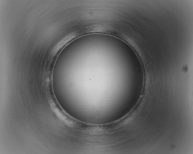 X0000113261042200909171645