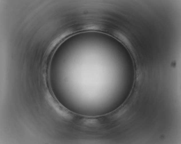 X0000113261043200909171645