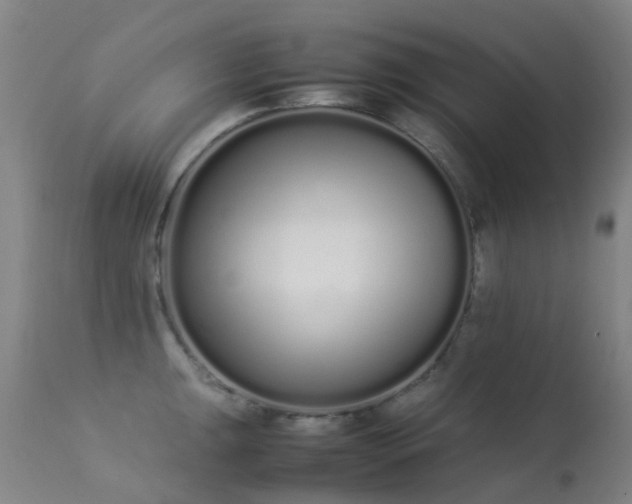 X0000113261047200909171645