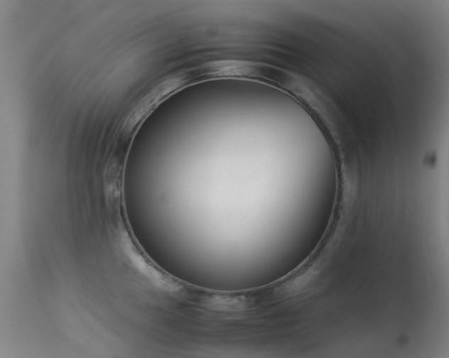 X0000113261049200909171645