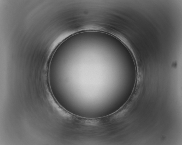 X0000113261053200909171645