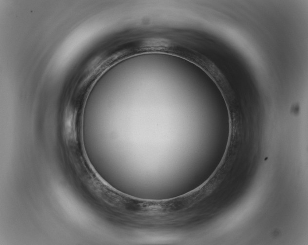 X0000113261054200909171645