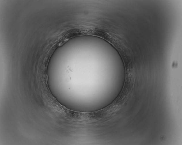 X0000113261057200909171644