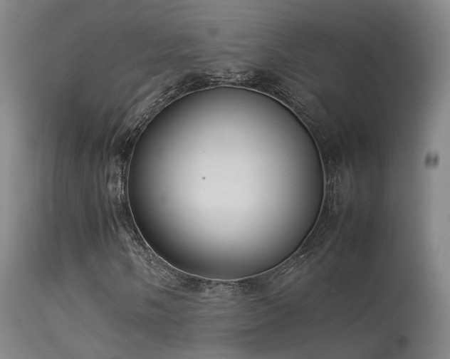 X0000113261058200909171644