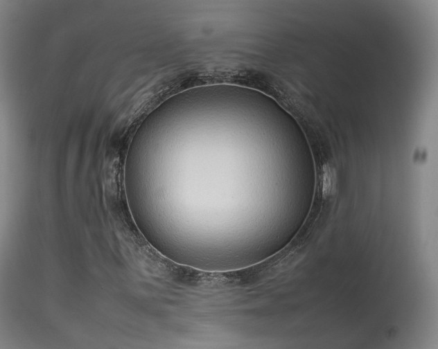 X0000113261059200909171644