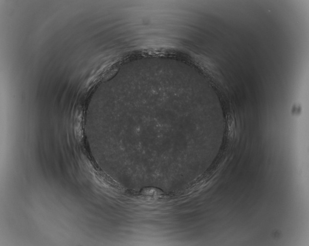 X0000113261060200909171644