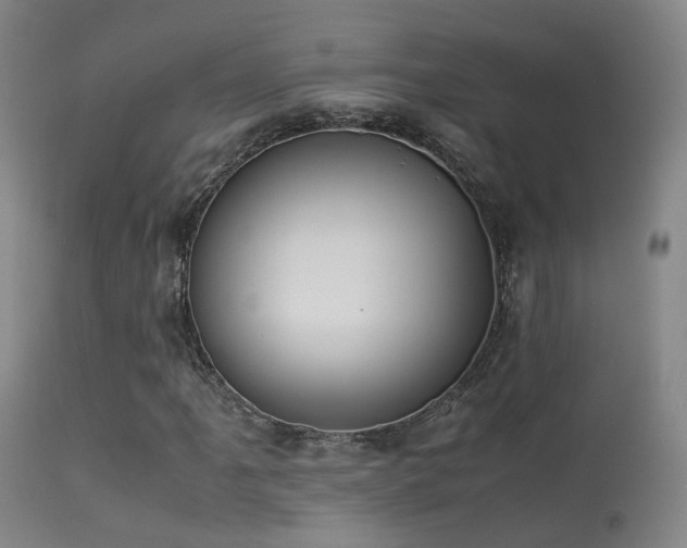 X0000113261061200909171644