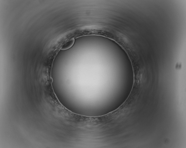 X0000113261062200909171644