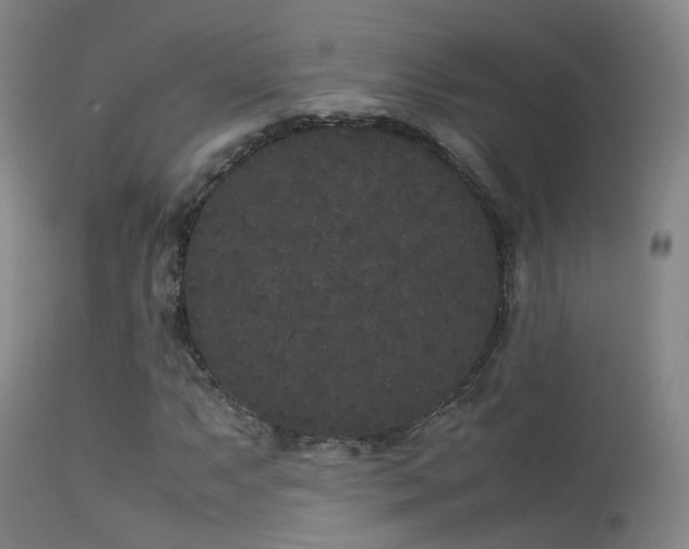 X0000113261063200909171644