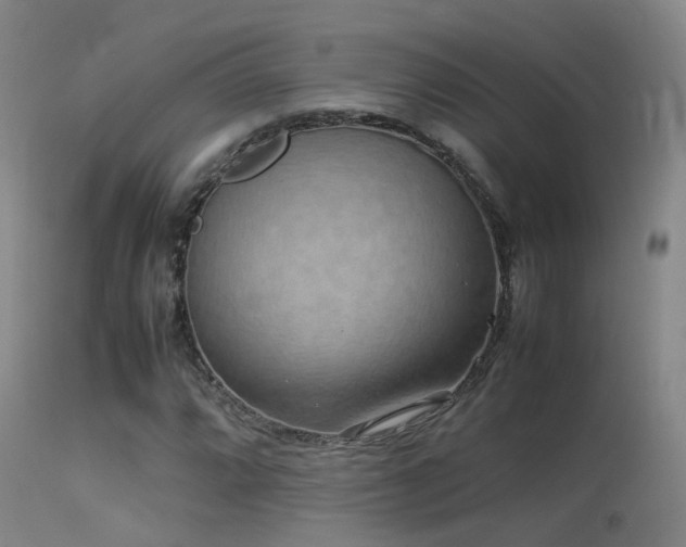 X0000113261064200909171644