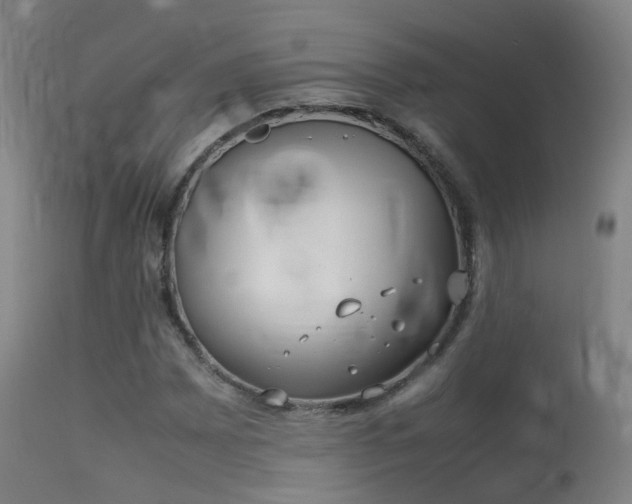 X0000113261065200909171644