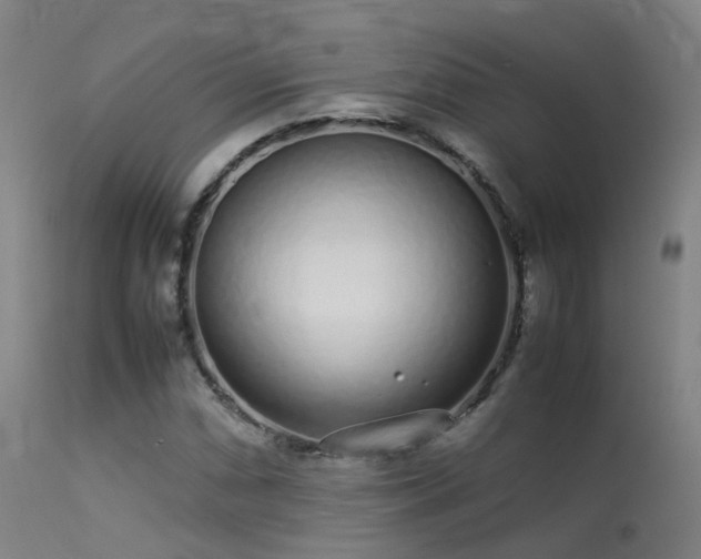 X0000113261066200909171644