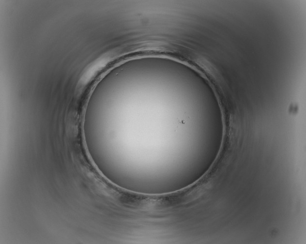 X0000113261067200909171644