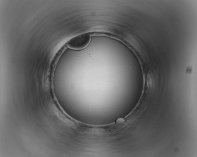 X0000113261068200909171644