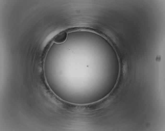 X0000113261069200909171644