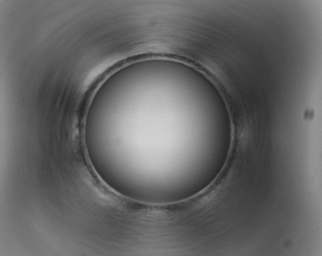 X0000113261070200909171644