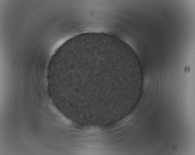 X0000113261071200909171644