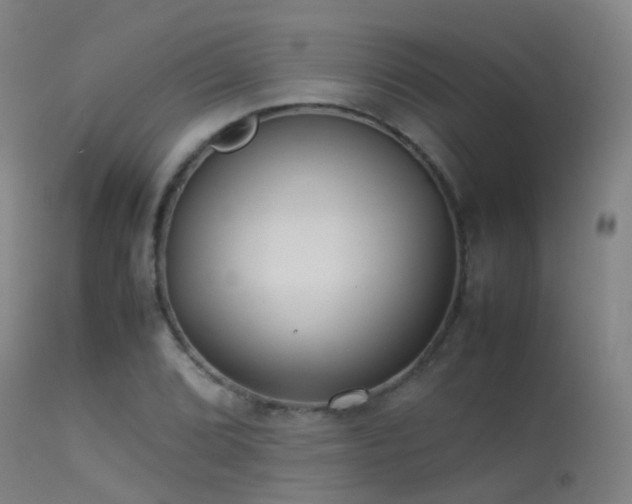 X0000113261072200909171644