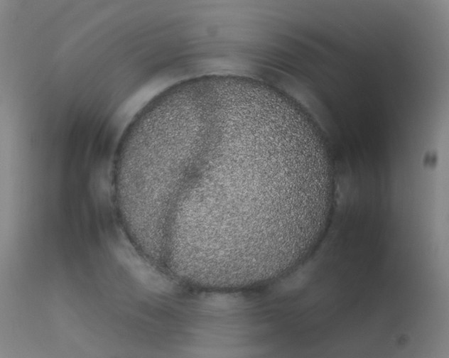 X0000113261074200909171644