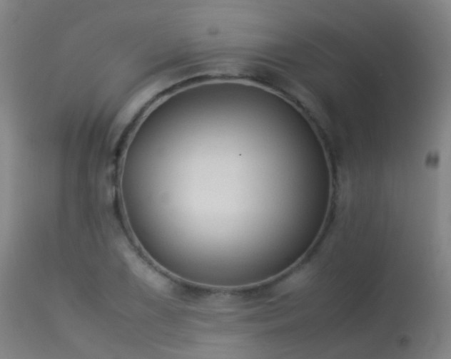 X0000113261075200909171644