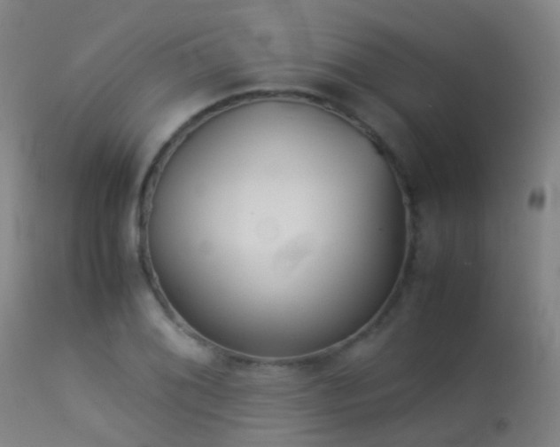 X0000113261076200909171644