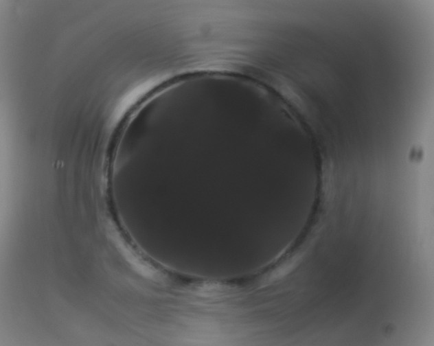 X0000113261077200909171644