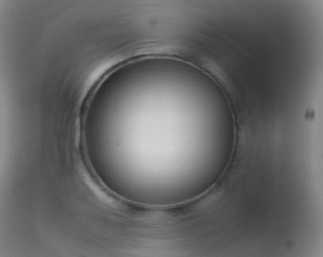 X0000113261079200909171644