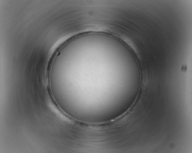 X0000113261080200909171644