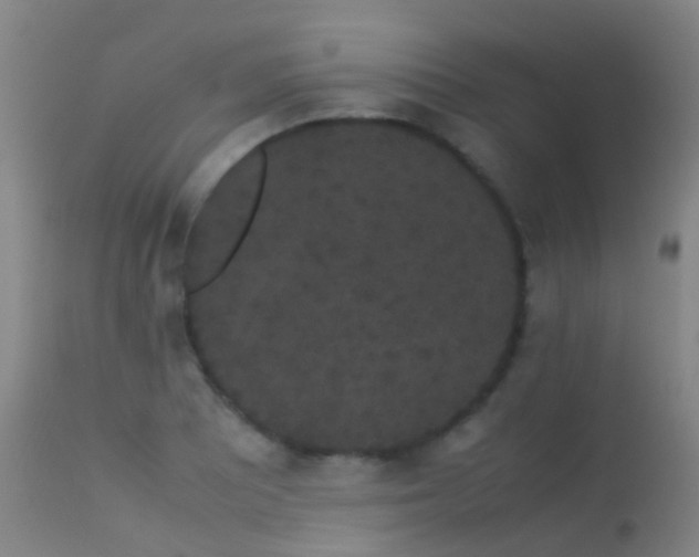 X0000113261081200909171644