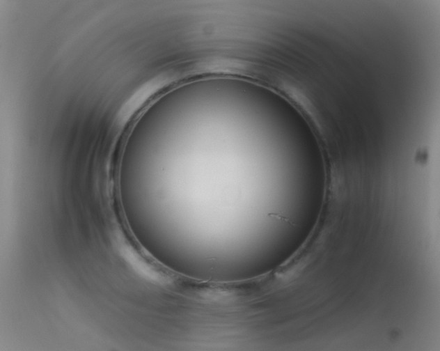 X0000113261082200909171644