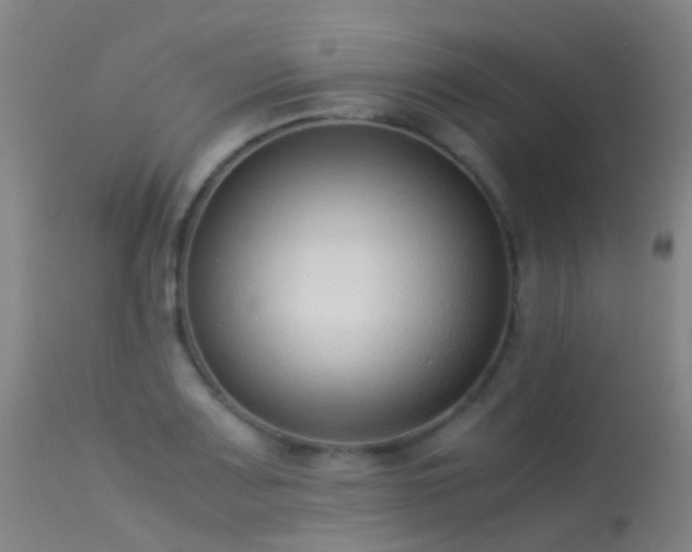 X0000113261083200909171644