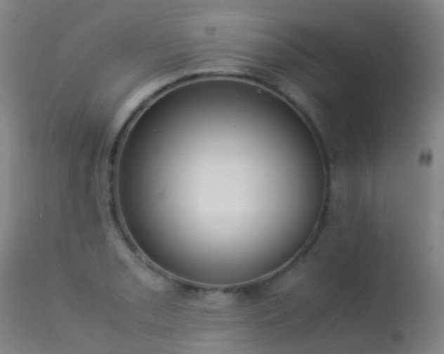 X0000113261085200909171644