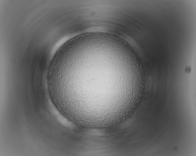 X0000113261086200909171644