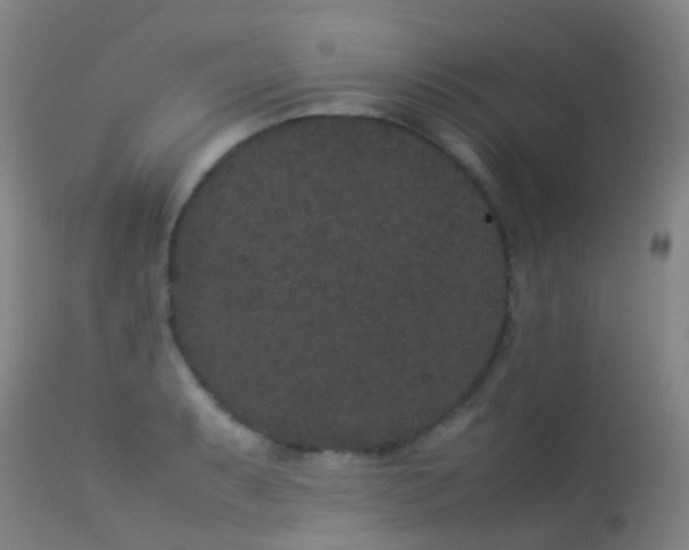 X0000113261087200909171644