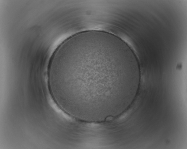 X0000113261088200909171644