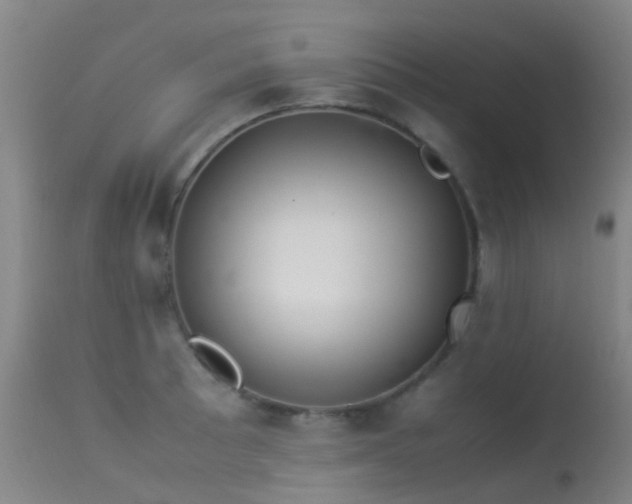 X0000113261089200909171644