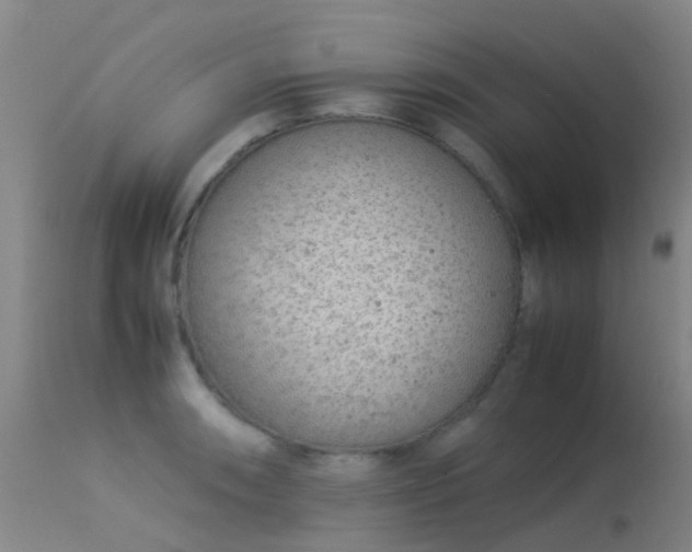 X0000113261090200909171644